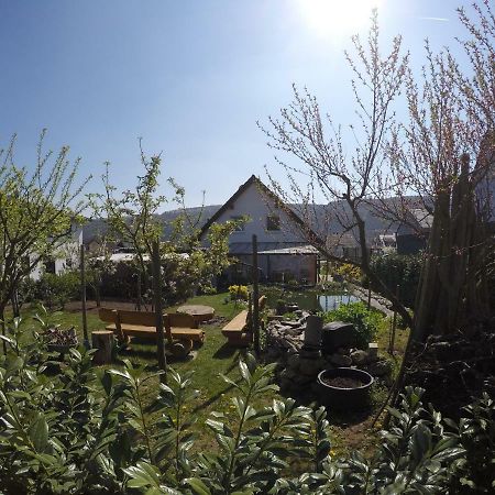 Moselie Ferienwohnung Kinheim Mosel Zewnętrze zdjęcie
