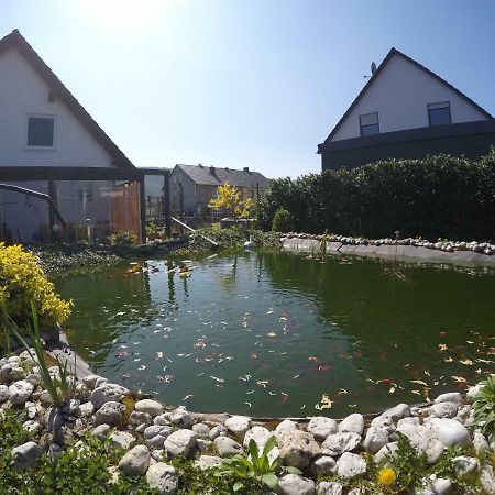 Moselie Ferienwohnung Kinheim Mosel Zewnętrze zdjęcie