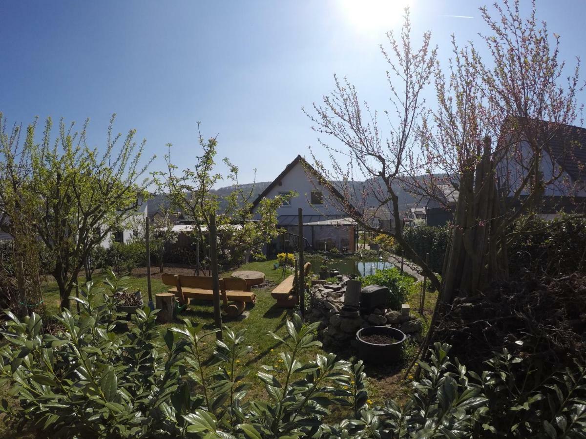 Moselie Ferienwohnung Kinheim Mosel Zewnętrze zdjęcie